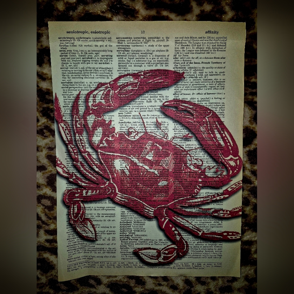 2 Ocean Life Book Art Prints - Picture 5 of 12